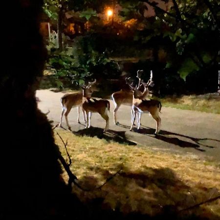 Villa Dans Un Cadre Exceptionnel, Ferme Renovee A 17Km De Paris Boissy-Saint-Léger Esterno foto