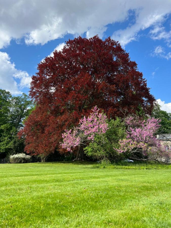 Villa Dans Un Cadre Exceptionnel, Ferme Renovee A 17Km De Paris Boissy-Saint-Léger Esterno foto